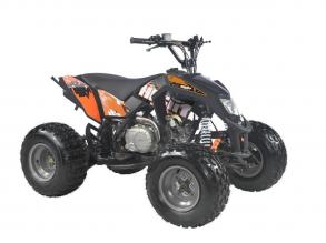 HECHT 54125black BENZINMOTOROS QUAD 125 CCM