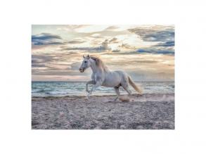 500 darabos Ló a tengerparton puzzle.