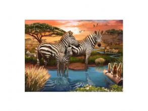 Puzzle Zebrák a vízparton, 1000 darabos