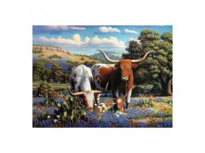 Longhorn szarvasmarhák puzzle, 500 darabos