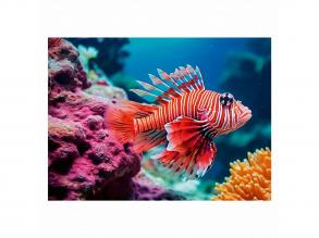 Ravensburger puzzle: Színes állatok - Vörös tűzhal, 500 darabos