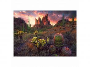 Ravensburger puzzle Kaktusz, 500 darabos