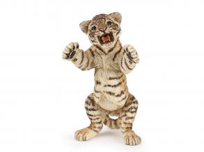Álló tigris kölyök