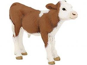 Papo Simmental boci