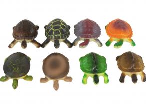 Mini teknős