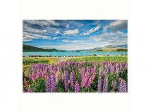 Clementoni puzzle: Virágok a Tekapo-tónál, 1500 darab.