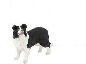 Papo Border collie