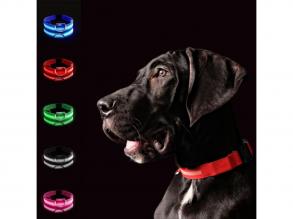 LED-es kutyanyakörv , állítható , elemes , vízálló , 50cm , XL-es , fehér-fekete