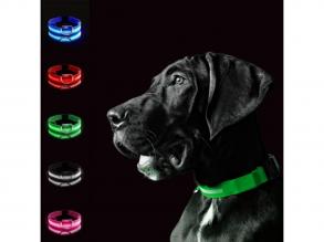 LED-es kutyanyakörv , állítható , elemes , vízálló , 40cm , L-es , zöld