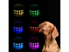 LED-es kutyanyakörv , állítható , USB , tölthető , vízálló , 50cm , M-es , tappancsos, pink