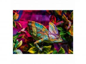 Ravensburger Színes állatok: Kaméleon puzzle, 500 darabos