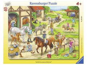 A lovastanyán 40 darabos puzzle