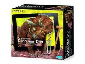 Triceratops DNS készlet