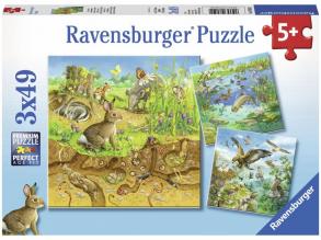 Állatok és élőhelyük 3 x 49 darabos puzzle