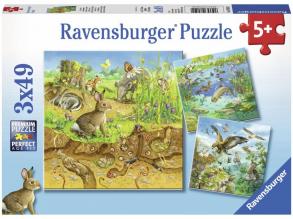 Állatok és élőhelyük 3 x 49 darabos puzzle