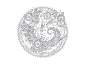 Erdei mandala-művészet