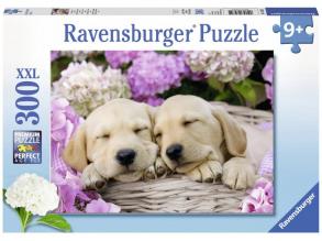 Alvó kutyusok 300 darabos XXL puzzle