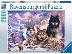 Puzzle 2000 db - Farkasok a hóban