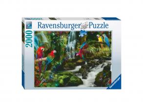 Változatos papagájok a dzsungelben puzzle, 2000db