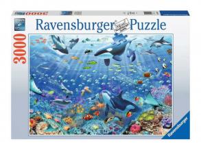 Puzzle 3000 db - Színes víz alatti szórakozás