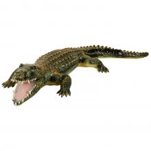 Krokodil, 60 cm