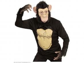 Csimpánz férfi jelmez
