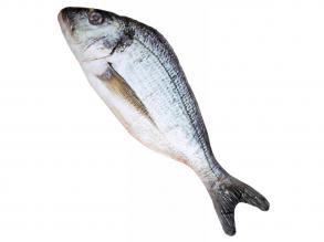 Hal dekoráció - 55 cm