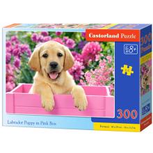 Kis labrador pink ládában 300db-os puzzle - Castorland