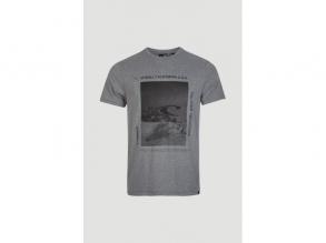 Lm Mountain Frame Ss T-Shirt Oneill férfi szürke színű póló