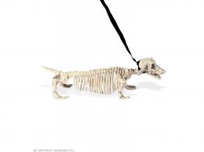 Csontváz kutya pórázzal, 55 cm