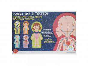Ismerd meg a tested oktatójáték - D-Toys