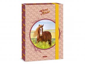 Ars Una: My Sweet Horse Lovas A4 füzetbox