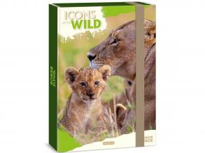 Ars Una: Icons of the Wild Lions A/4 füzetbox