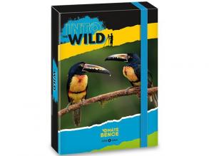 Ars Una: Máté Bence tukán füzetbox A/5