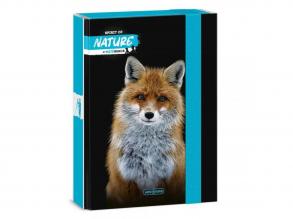Ars Una: Máté Bence Spirit of Nature - Rókás füzetbox A/5