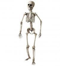 Álló csontváz halloween dekoráció, 160 cm, műanyag