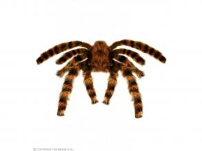 Óriás szőrös madár pók, állítható lábakkal, 75 cm