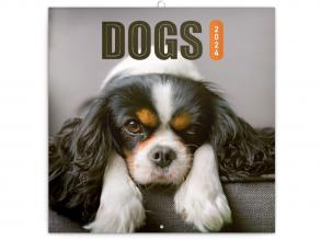 Realsystem 2024-es Dogs 6097-DO falinaptár