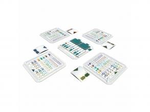 A nagy felosztás társasjáték, angol