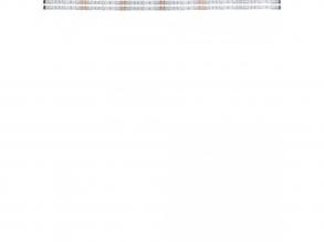 LED-szalag 2*2,88W fehér LED 2*60cm