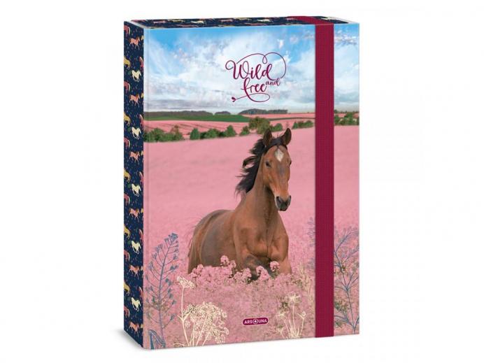 Füzetek, füzetbox, füzetcímke, mappa, dosszié, borító - Minitoys